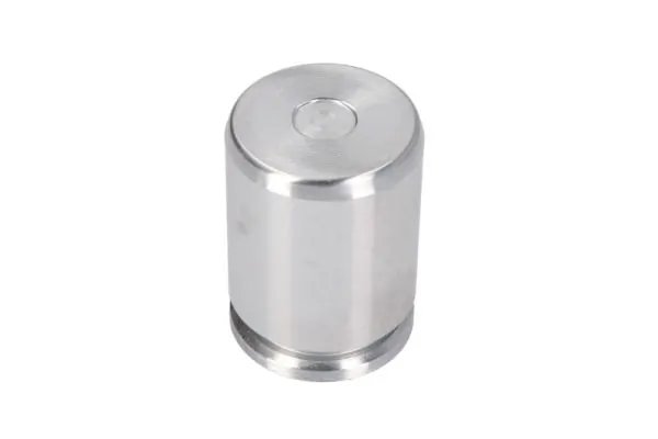 PISTON ETRIER FRANA LAUBER CQ71324407 - Compatibil cu CHEVROLET, DAEWOO