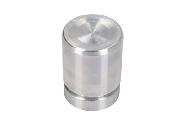 PISTON ETRIER FRANA LAUBER CQ71364816 - Compatibil cu BMW, CITROEN, FIAT, JAGUAR, LANCIA, PEUGEOT, ROVER