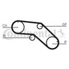 Curea distributie CONTINENTAL CT1005