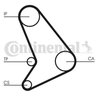 Curea distributie CONTINENTAL CT1054