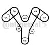 Set distributie curea CONTINENTAL CT1096K2PRO