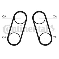 Curea distributie CONTINENTAL CT1097