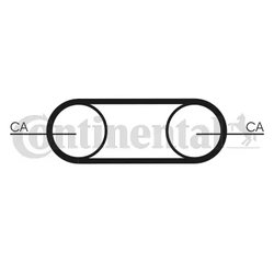 Curea distributie CONTINENTAL CT1112