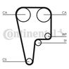 Curea distributie CONTINENTAL CT1125