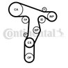 Set distributie curea CONTINENTAL CT1139K3PRO