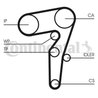 SET DISTRIBUTIE CUREA SI POMPA APA CONTINENTAL CT1155WP1 - Compatibil cu ALFA ROMEO, CHRYSLER, FIAT, JEEP, LANCIA, OPEL, SUZUKI,