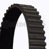 CUREA DISTRIBUTIE CONTINENTAL CT1157 - Compatibil cu ALFA ROMEO, LANCIA