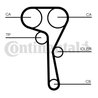 Curea distributie CONTINENTAL CT1167