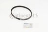 CUREA DISTRIBUTIE CONTINENTAL CT1169 - Compatibil cu AUDI, CUPRA, SEAT, SKODA, VW