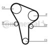 Curea distributie CONTINENTAL CT513