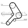 Curea distributie CONTINENTAL CT617