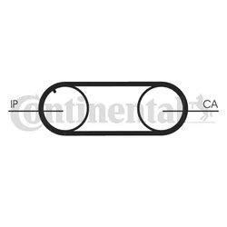 CUREA DISTRIBUTIE CONTINENTAL CT645 - Compatibil cu AUDI, VW