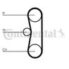 Curea distributie CONTINENTAL CT662