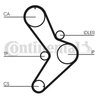 Curea distributie CONTINENTAL CT731