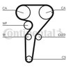 SET DISTRIBUTIE CUREA CONTINENTAL CT877K2 - Compatibil cu ALFA ROMEO, FIAT, LANCIA