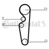 CUREA DISTRIBUTIE CONTINENTAL CT878 - Compatibil cu FIAT, LANCIA
