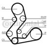 Curea distributie CONTINENTAL CT901(SET)