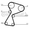 Set distributie curea CONTINENTAL CT949K1