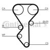 CUREA DISTRIBUTIE CONTINENTAL CT955 - Compatibil cu CITROEN, FIAT, LANCIA, PEUGEOT