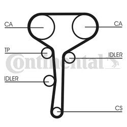 Curea distributie CONTINENTAL CT977