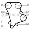 Curea distributie CONTINENTAL CT994