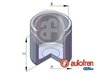 PISTON ETRIER FRANA AUTOFREN SEINSA D025109 - Compatibil cu CITROEN, RENAULT