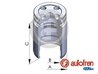 Piston etrier frana AUTOFREN SEINSA D025241