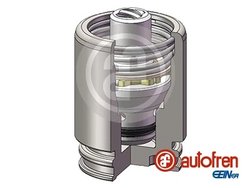 Piston etrier frana AUTOFREN SEINSA D025251K
