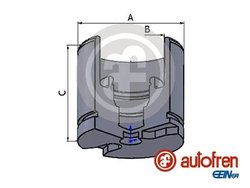 Piston etrier frana AUTOFREN SEINSA D025256