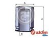 Piston etrier frana AUTOFREN SEINSA D025294