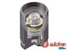 Piston etrier frana AUTOFREN SEINSA D025340K