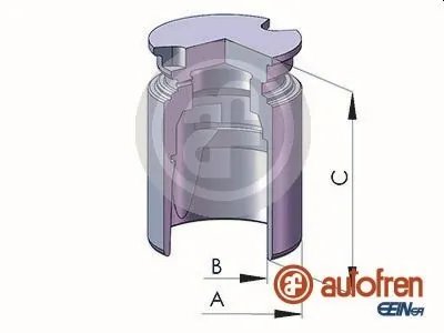 Piston etrier frana AUTOFREN SEINSA D025363