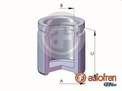 Piston etrier frana AUTOFREN SEINSA D025382