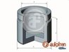 PISTON ETRIER FRANA AUTOFREN SEINSA D025456 - Compatibil cu AUDI, LINCOLN, NISSAN, VW