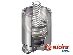 Piston etrier frana AUTOFREN SEINSA D025530K