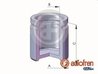 Piston etrier frana AUTOFREN SEINSA D025544