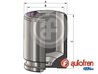 Piston etrier frana AUTOFREN SEINSA D025541