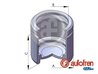 Piston etrier frana AUTOFREN SEINSA D025563