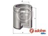 Piston etrier frana AUTOFREN SEINSA D025599