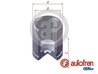 Piston etrier frana AUTOFREN SEINSA D025608