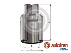 Piston etrier frana AUTOFREN SEINSA D025640