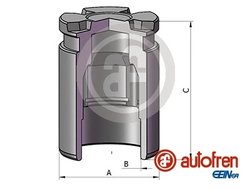Piston etrier frana AUTOFREN SEINSA D025698