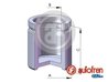 Piston etrier frana AUTOFREN SEINSA D02570