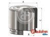 Piston etrier frana AUTOFREN SEINSA D025765