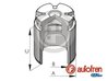 PISTON ETRIER FRANA AUTOFREN SEINSA D02578 - Compatibil cu ABARTH, ACURA, ALFA ROMEO, ASTON MARTIN, AUDI, BMW, CHEVROLET, FIAT, 
