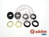 Set reparatie pompa centrala frana AUTOFREN SEINSA D1108