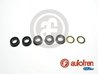 SET REPARATIE POMPA CENTRALA FRANA AUTOFREN SEINSA D1111 - Compatibil cu AUDI, VW