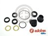 Set reparatie pompa centrala frana AUTOFREN SEINSA D1178