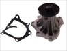 Pompa de apa Thermotec D12004TT