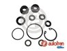 Set reparatie pompa centrala frana AUTOFREN SEINSA D1399